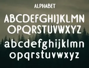 CHARVINE - A Modern Display Font