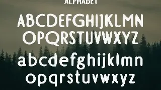 CHARVINE - A Modern Display Font