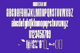 Joy Braun Sans Serif Display Font