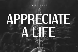 Faith - Modern Elegant Sans Serif font