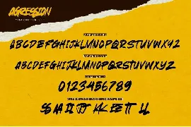 Agression - Authentic Rough Brush font