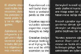 Ervha Sans Serif Font Family