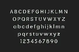 Ervha Sans Serif Font Family