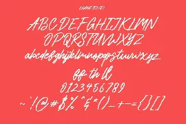 Overshoot Brush Script Font