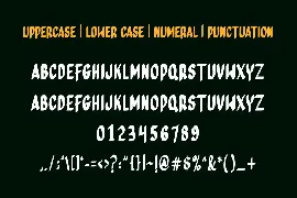 THOR RUSEL - Handwritten Font