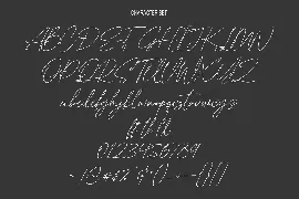 Silver Cycles Signature Script Font