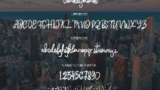 Donkeymonk font