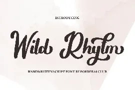 Wild Rhytm font