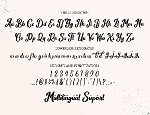 Wild Rhytm font