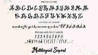 Wild Rhytm font