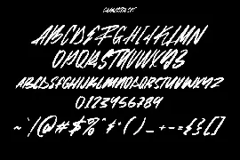 Frikfast Brush Scipt Font