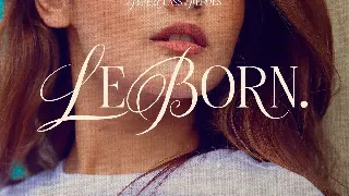 LeBorn - Display Serif font