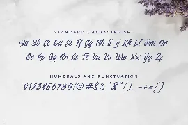 Andorea Handwrite Font