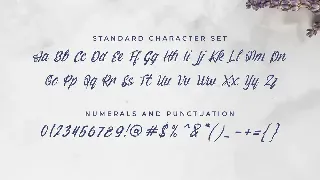 Andorea Handwrite Font