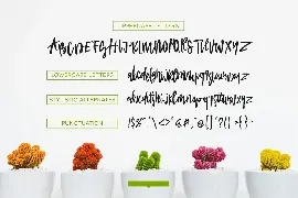 Academy House Font