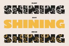 Shining Youth â€“ Display Font