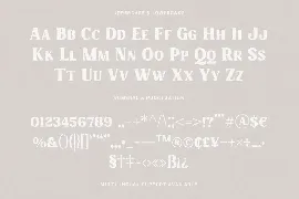 Charmist â€“ Thick And Unique Serif font