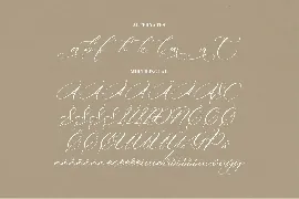 Amsterdam Belmonteria Script Font