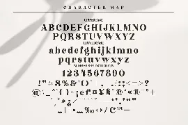 Hochagi Classy Serif Font