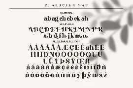 Hochagi Classy Serif Font