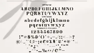 Hochagi Classy Serif Font