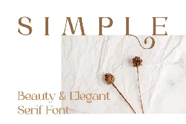 Braisle - Beauty and Elegant Serif font