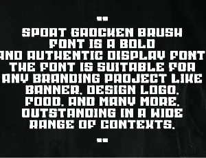 Sport Bengkor Brush font