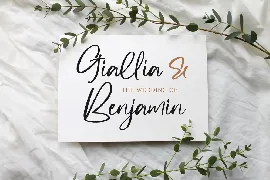 Zevallya Script Font