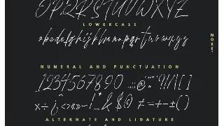 Hooverclan - Pen Inked Handwritten font