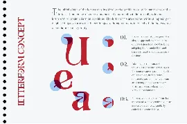 Onamura | Serif Experimental Font