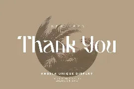 Angela Unique Display font