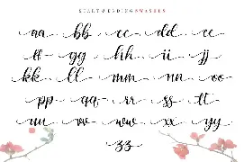 Cattalina font