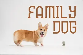 Copdog Font