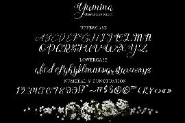 Yumina - Script Font