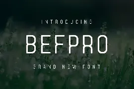 Befpro Font