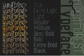 Sand Forest - Retro Display Font