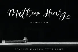 Swallowtail - Stylish Handwritten Font