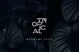 Drupadi font