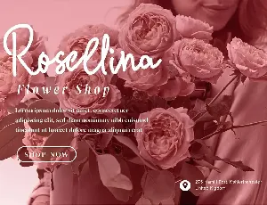 Little Sister - Modern Script fonts