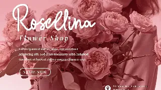 Little Sister - Modern Script fonts