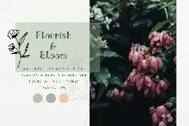 Ciera watercolor svg font, florals & logos