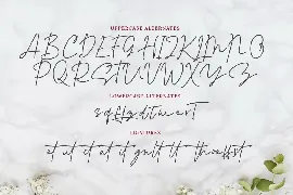 Alexandra Monoline Script font