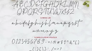 Alexandra Monoline Script font