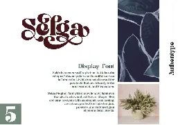 Selga Retro Display Font