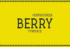 Berry Typeface font