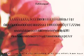 Orchid Font