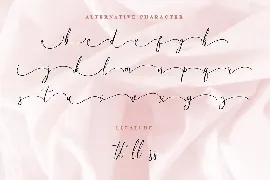 Birallina - Romantic Script Font