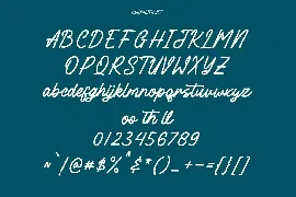 Seelogart Script Font