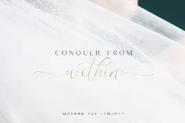 The Britney - Luxury Elegant Script font