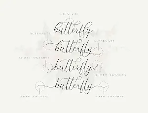 The Britney - Luxury Elegant Script font